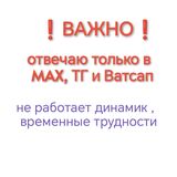 Миниатюра Индивидуалка Клубничка Академический Фотография 